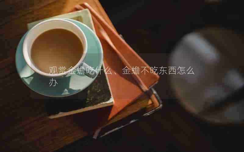 观赏金蟾吃什么、金蟾不吃东西怎么办